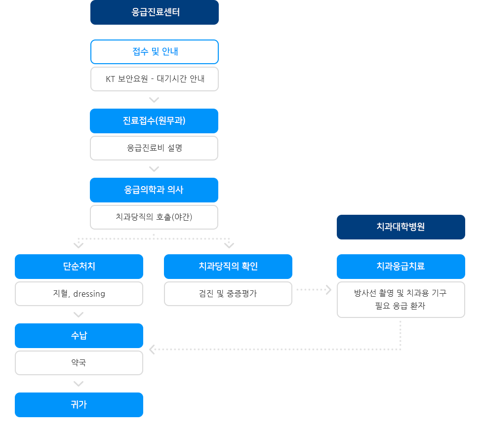 응급진료센터 진료 절차도 (하단설명 참조)